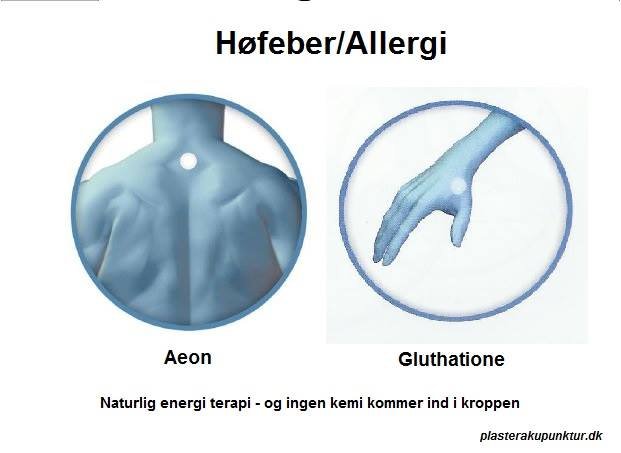 allergi og høfeber